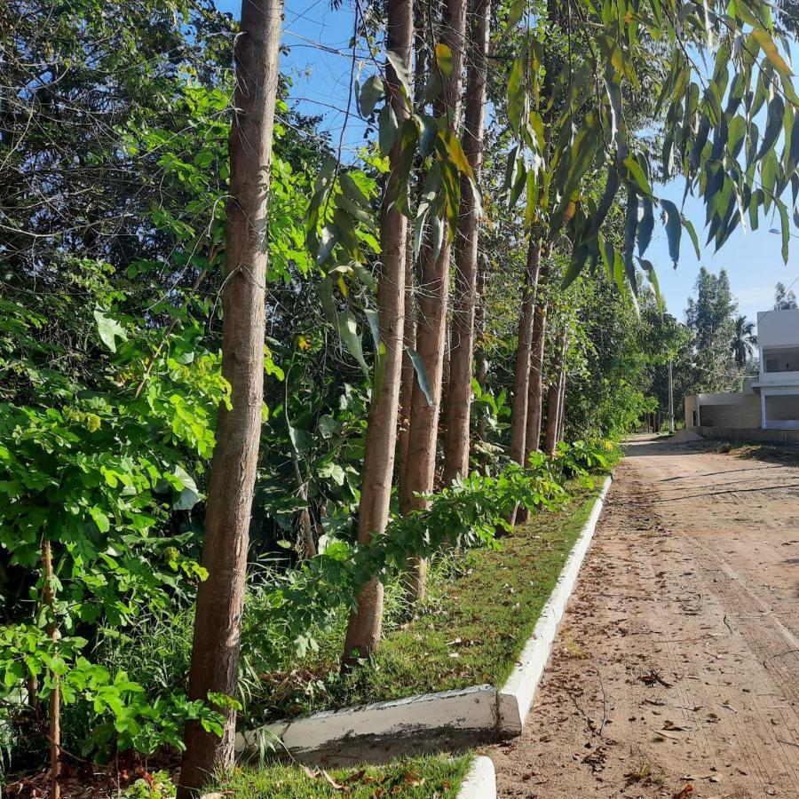 Viva! 1 Casa Nova Em Condominio Entre Maragogi E Carneiros São José da Coroa Grande 외부 사진